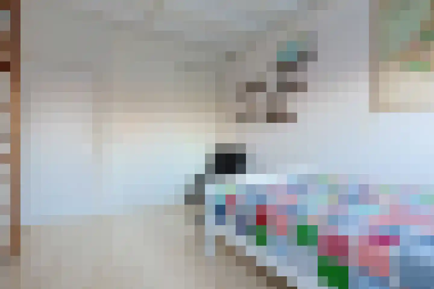 Donsvlinder 50 Leiden thumbnail 29