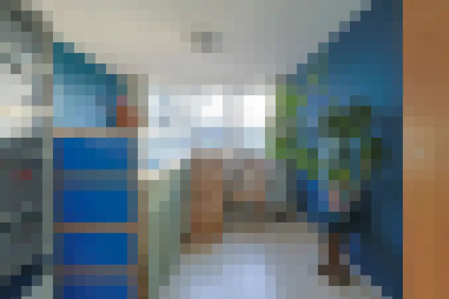 Donsvlinder 50 Leiden thumbnail 30