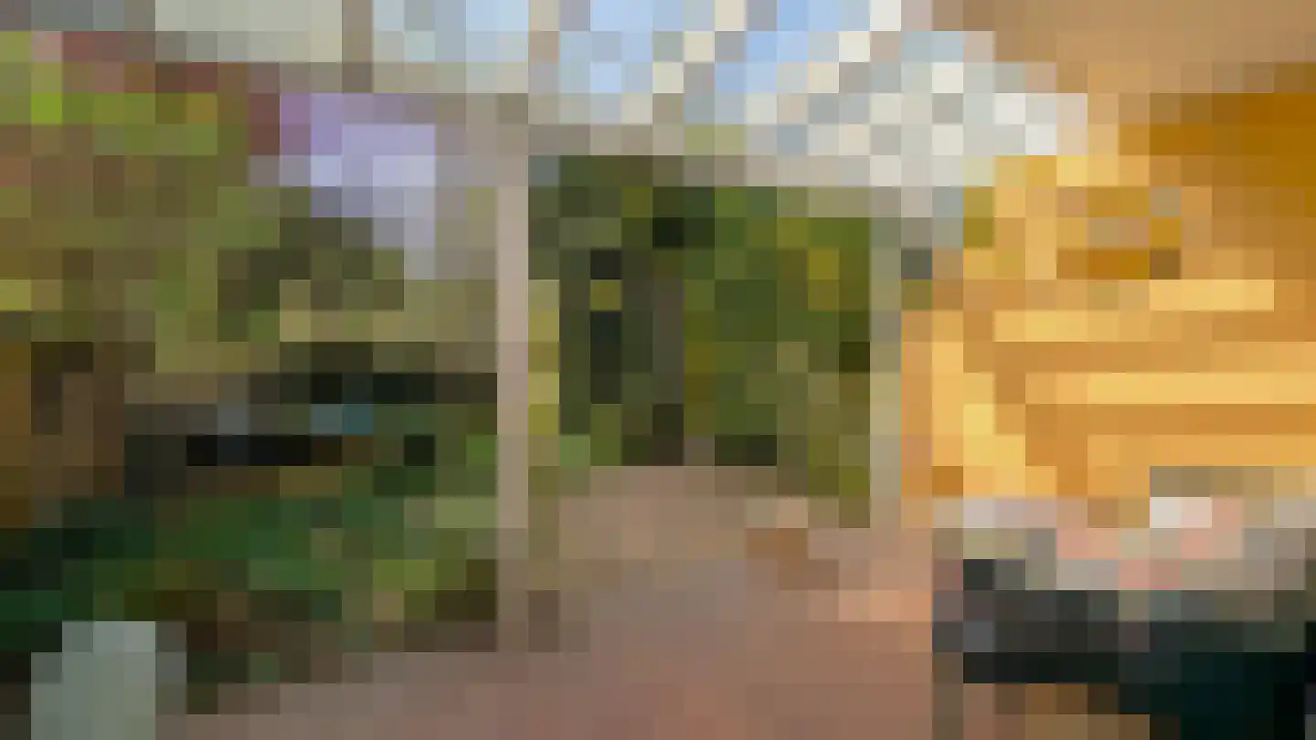 Donsvlinder 50 Leiden thumbnail 31