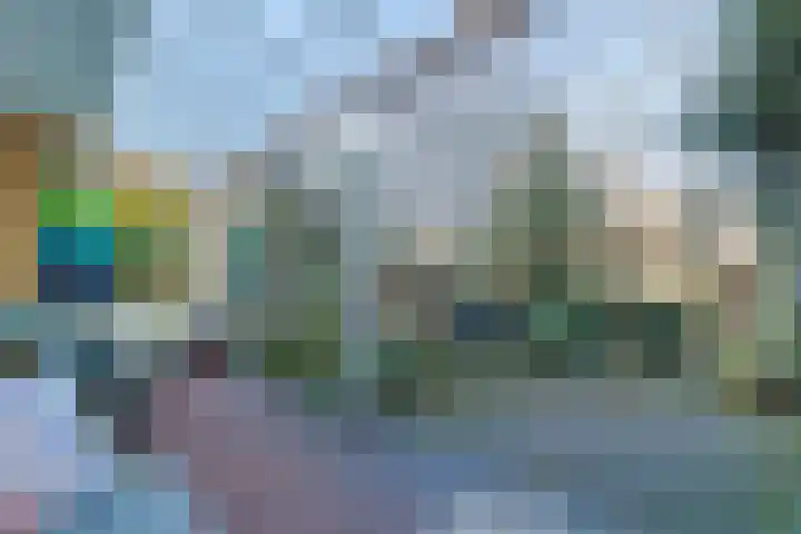 Donsvlinder 50 Leiden thumbnail 31