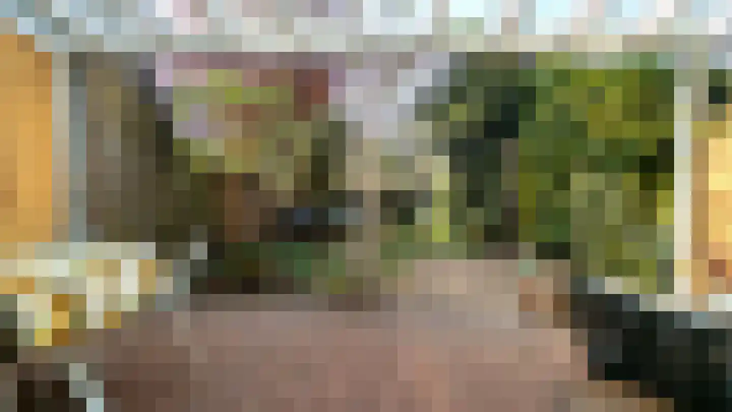 Donsvlinder 50 Leiden thumbnail 32