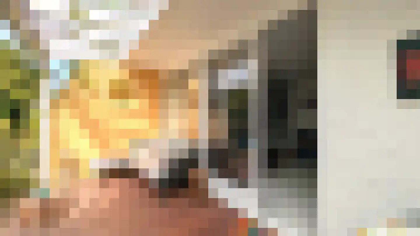 Donsvlinder 50 Leiden thumbnail 33