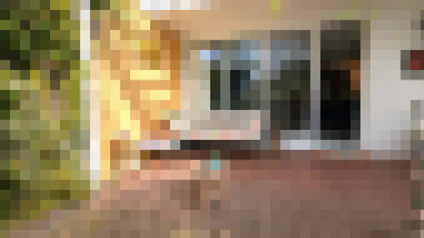 Donsvlinder 50 Leiden thumbnail 34