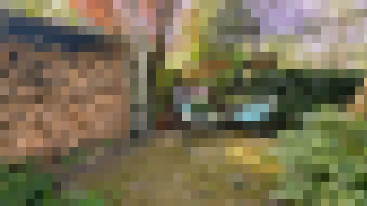 Donsvlinder 50 Leiden thumbnail 35