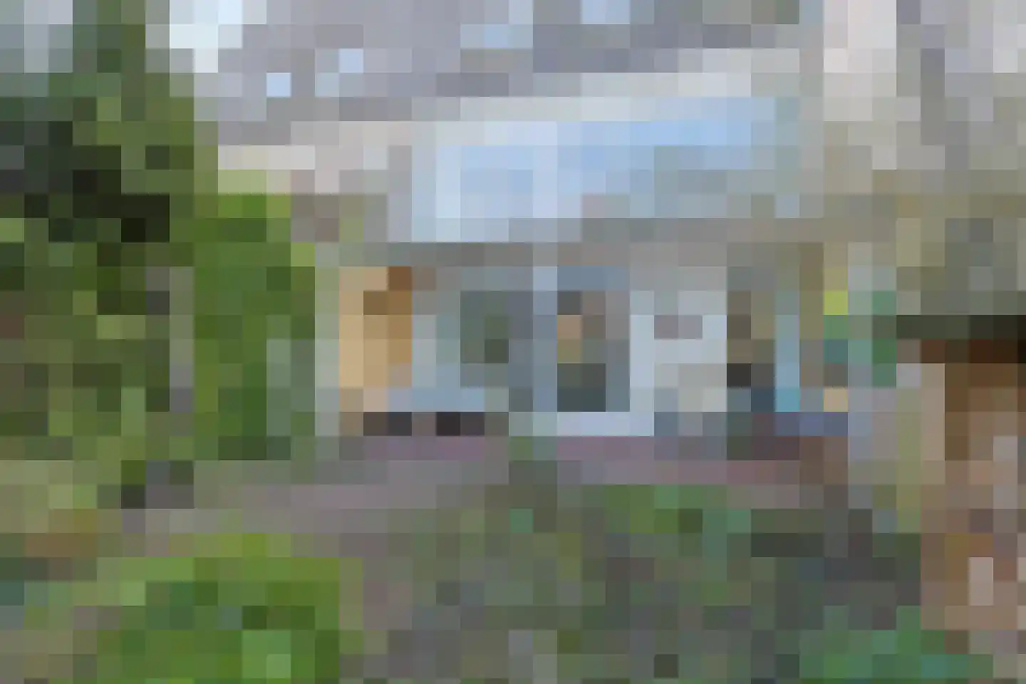 Donsvlinder 50 Leiden thumbnail 36