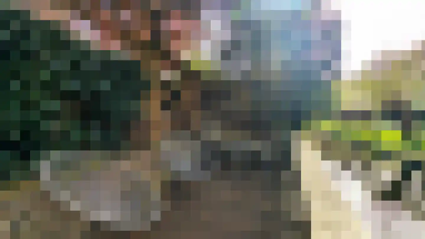 Donsvlinder 50 Leiden thumbnail 37