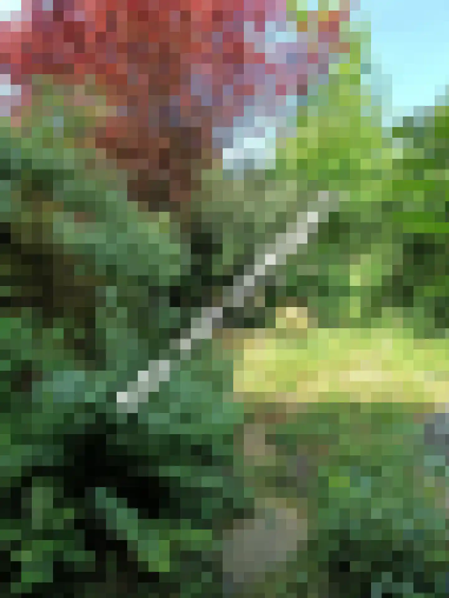 Donsvlinder 50 Leiden thumbnail 39