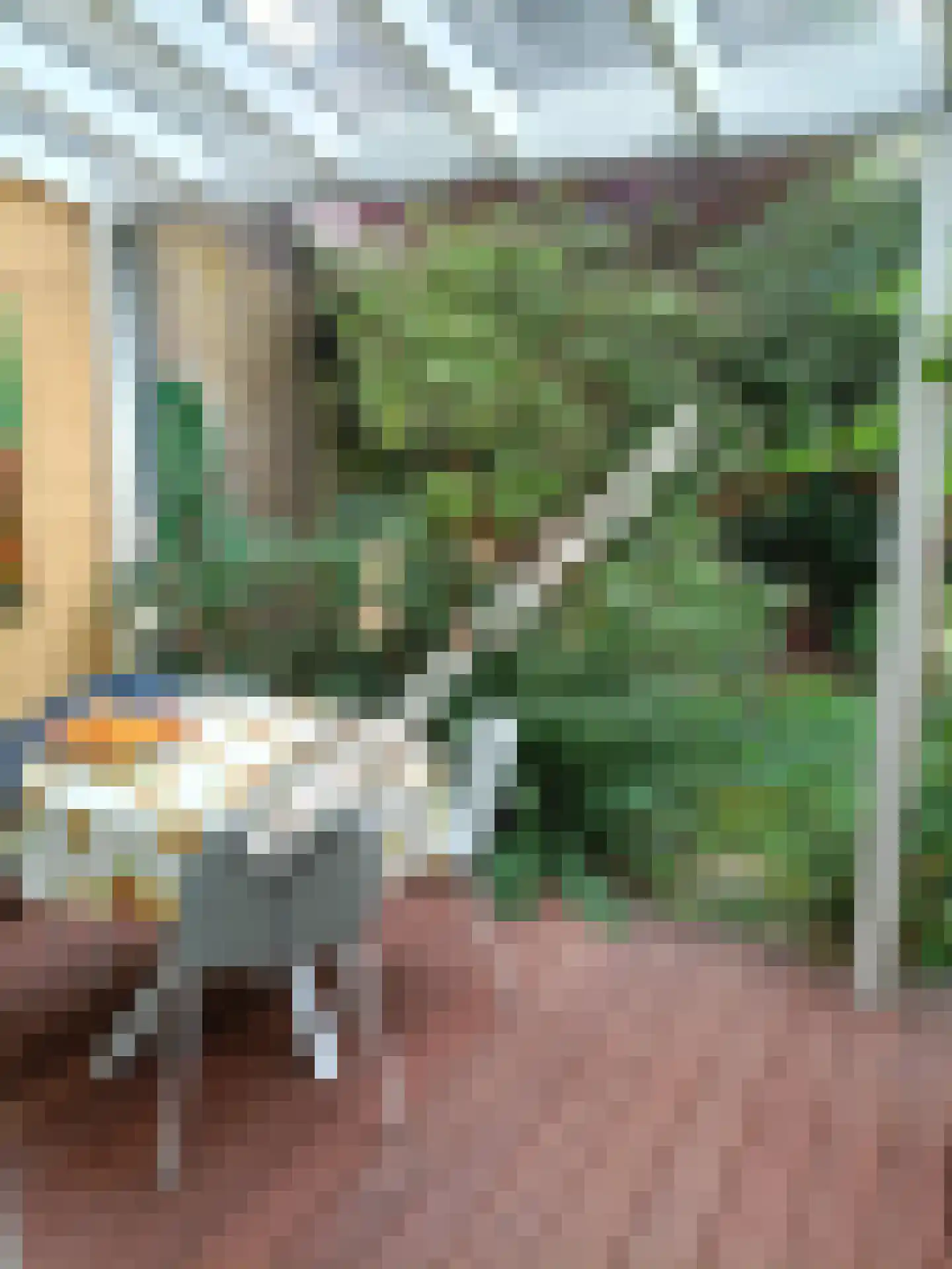Donsvlinder 50 Leiden thumbnail 40