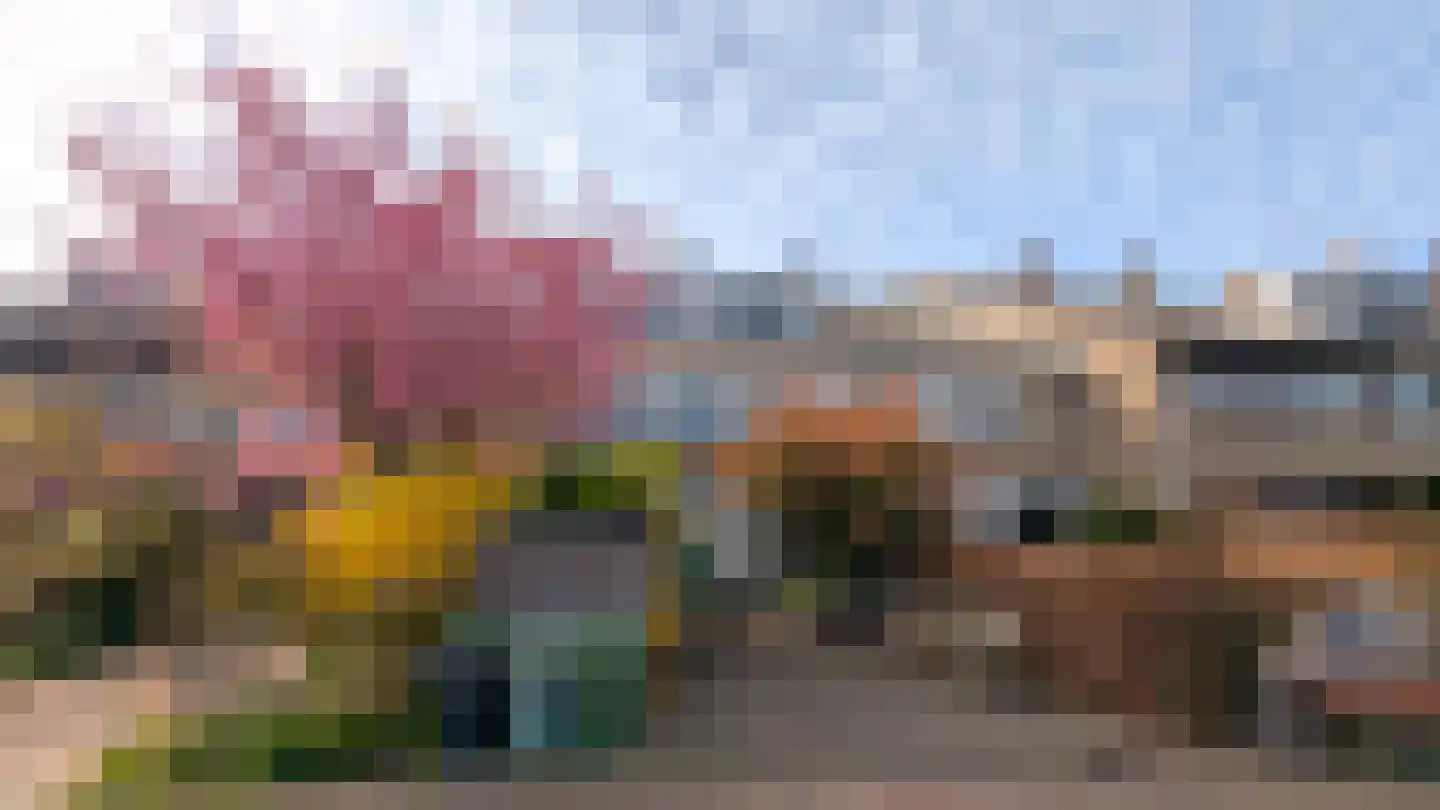 Donsvlinder 50 Leiden thumbnail 42