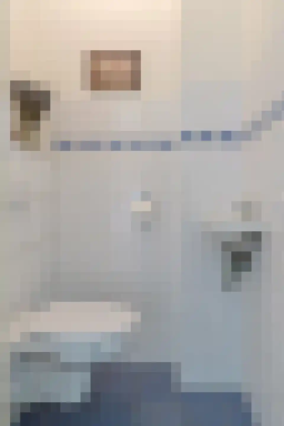Donsvlinder 50 Leiden thumbnail 6