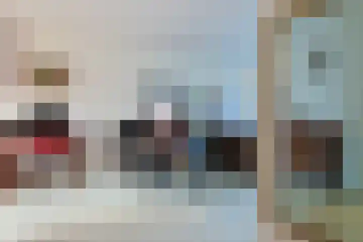 Donsvlinder 50 Leiden thumbnail 7