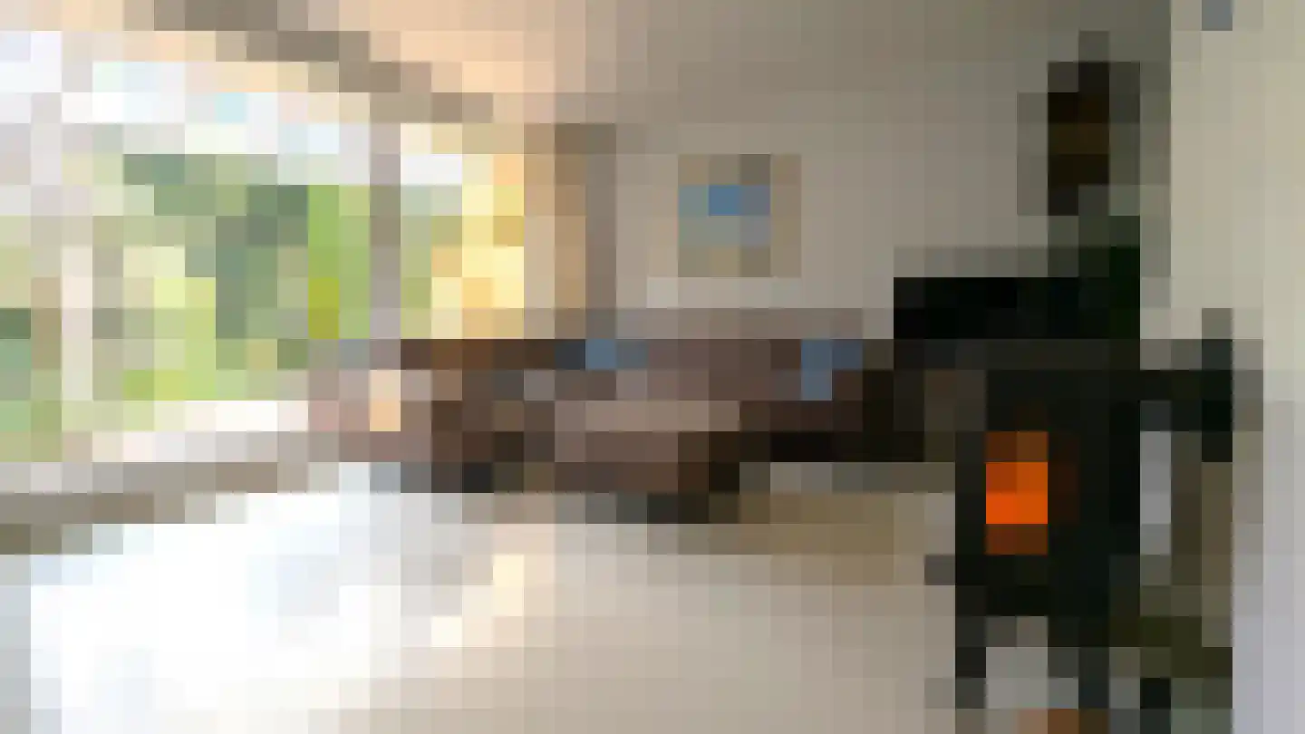 Donsvlinder 50 Leiden thumbnail 7