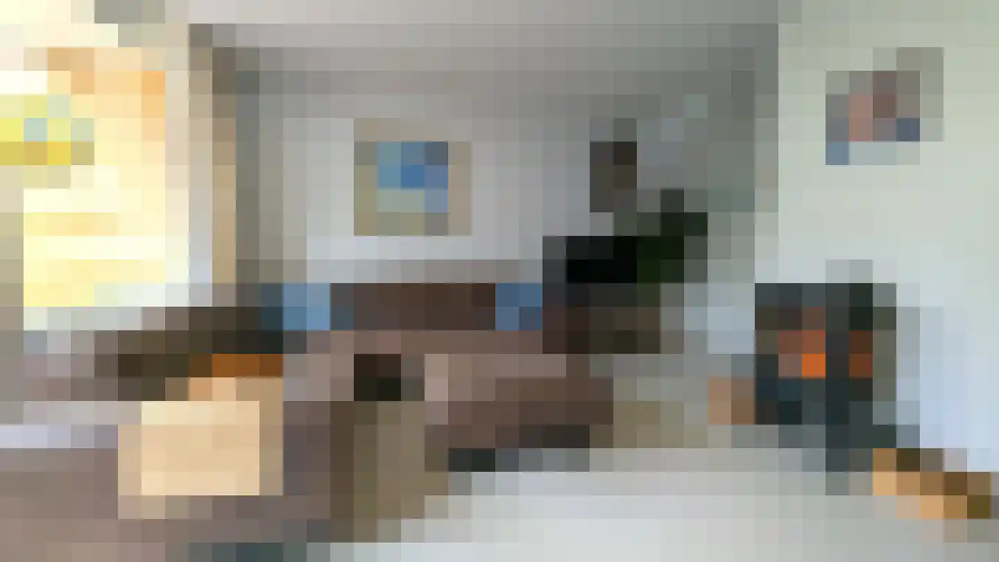 Donsvlinder 50 Leiden thumbnail 8