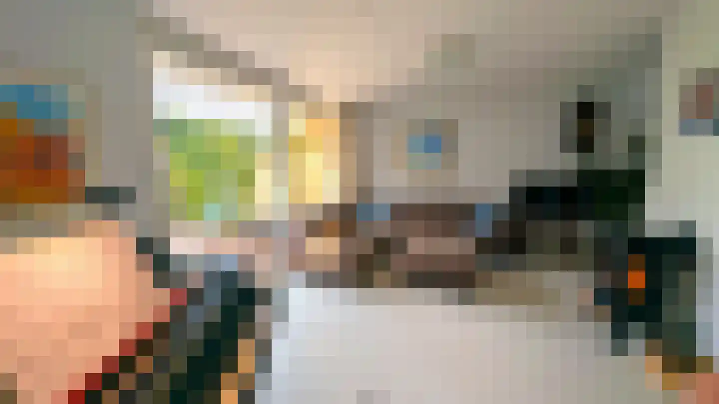 Donsvlinder 50 Leiden thumbnail 9