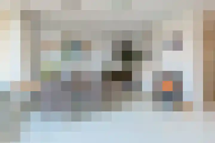 Donsvlinder 50 Leiden thumbnail 9