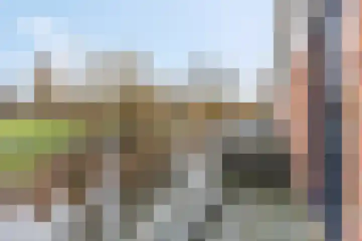 Donsvlinder 55 Utrecht thumbnail 10