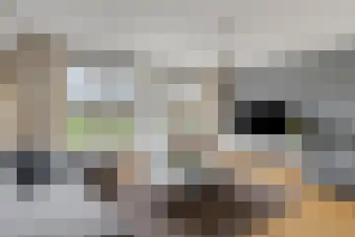 Donsvlinder 55 Utrecht thumbnail 11