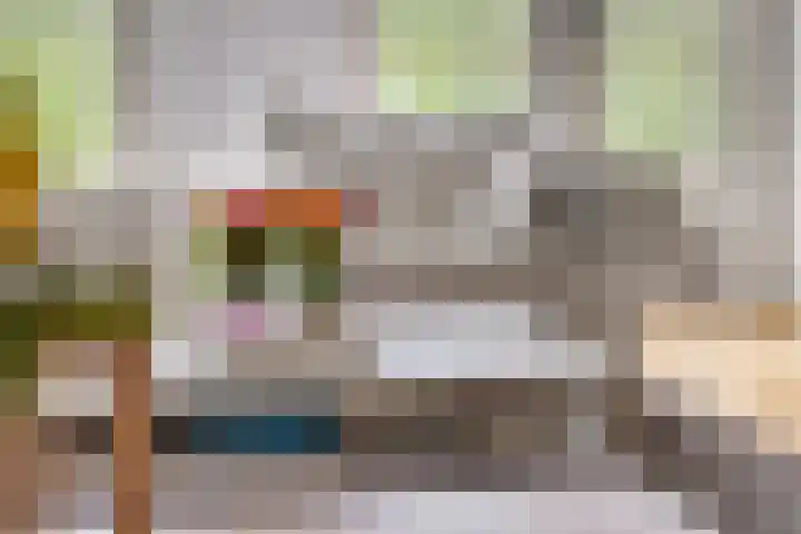 Donsvlinder 55 Utrecht thumbnail 12