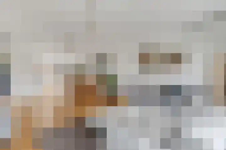 Donsvlinder 55 Utrecht thumbnail 14