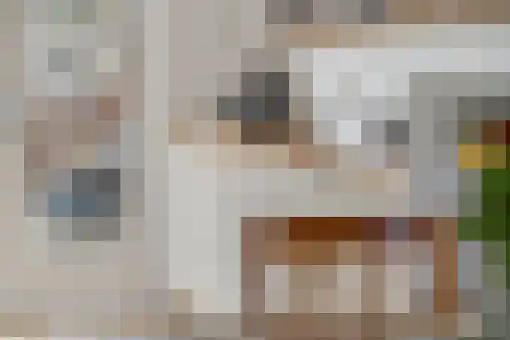 Donsvlinder 55 Utrecht thumbnail 15