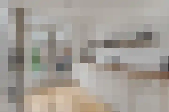 Donsvlinder 55 Utrecht thumbnail 16