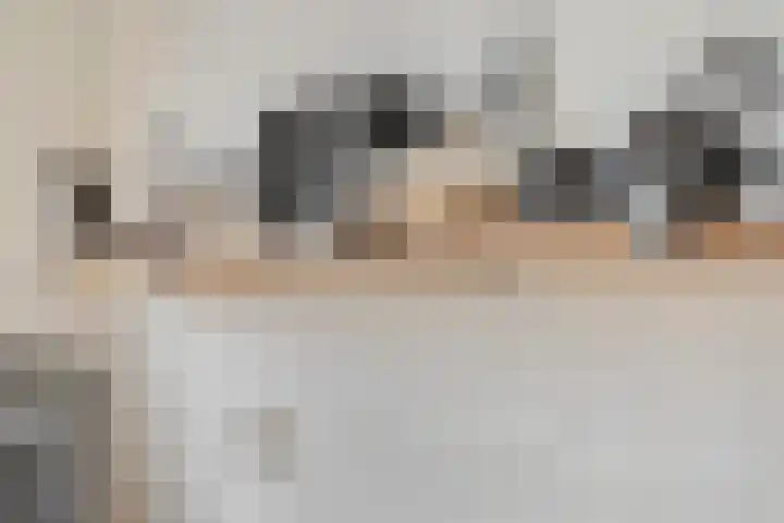 Donsvlinder 55 Utrecht thumbnail 17