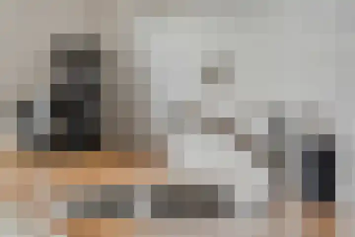 Donsvlinder 55 Utrecht thumbnail 18