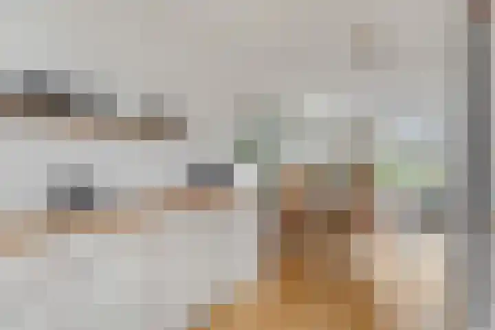 Donsvlinder 55 Utrecht thumbnail 19