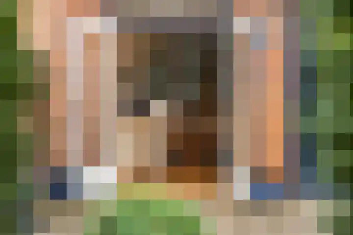Donsvlinder 55 Utrecht thumbnail 20