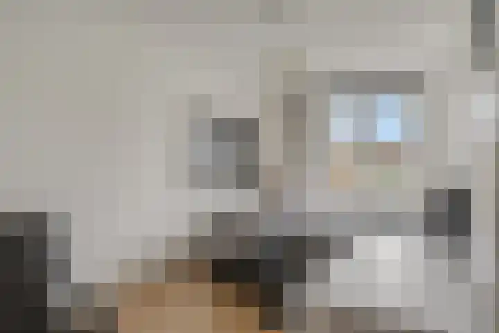 Donsvlinder 55 Utrecht thumbnail 24