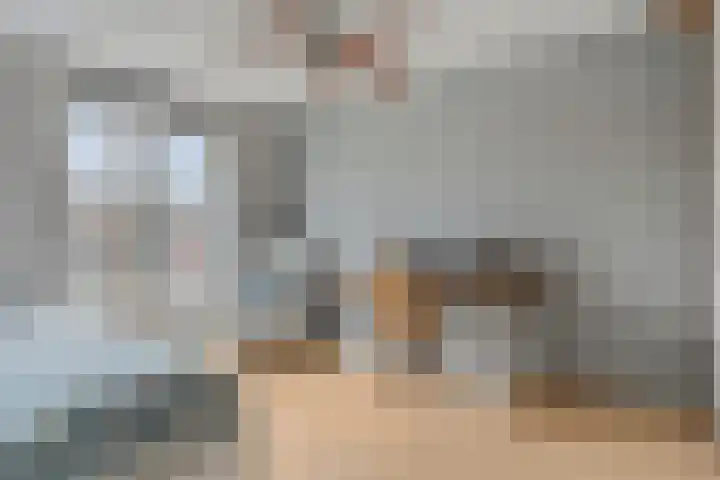 Donsvlinder 55 Utrecht thumbnail 26