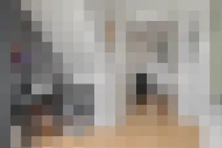 Donsvlinder 55 Utrecht thumbnail 29