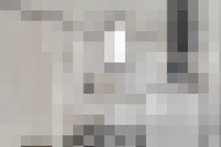 Donsvlinder 55 Utrecht thumbnail 30