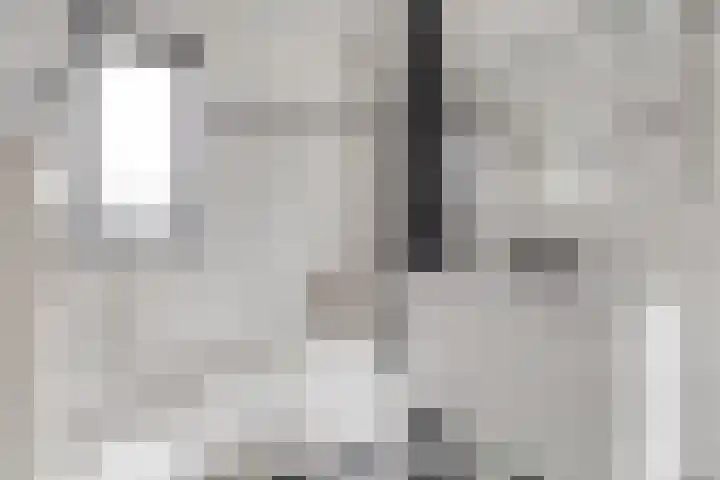 Donsvlinder 55 Utrecht thumbnail 31