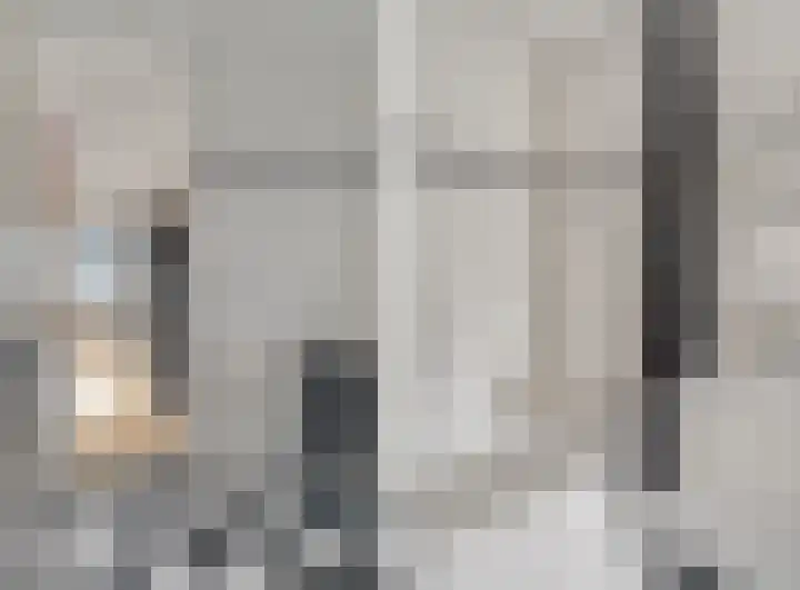 Donsvlinder 55 Utrecht thumbnail 32