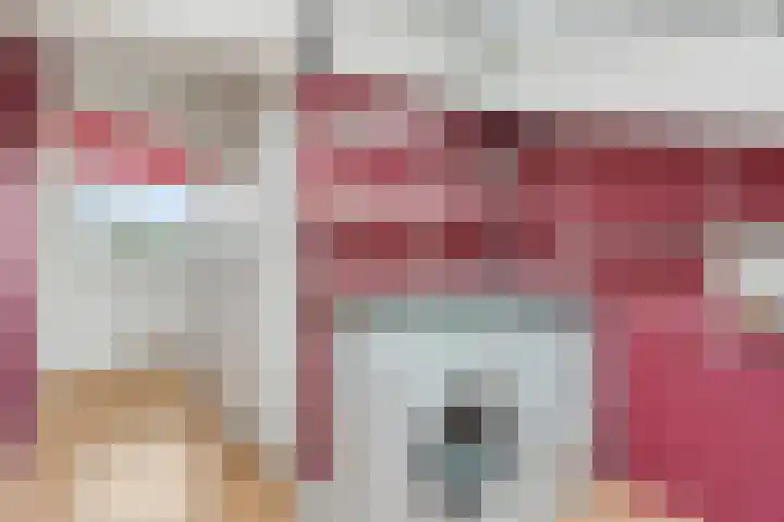 Donsvlinder 55 Utrecht thumbnail 34