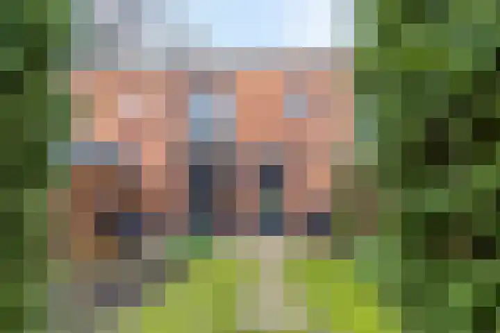 Donsvlinder 55 Utrecht thumbnail 38