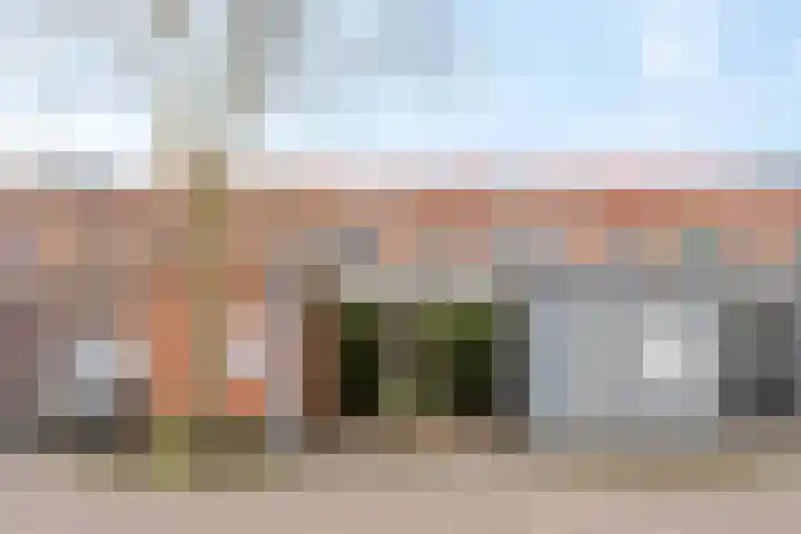 Donsvlinder 55 Utrecht thumbnail 39