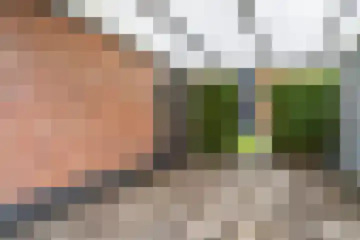 Donsvlinder 55 Utrecht thumbnail 40