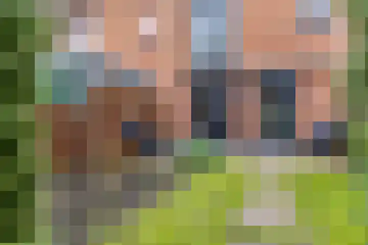 Donsvlinder 55 Utrecht thumbnail 41