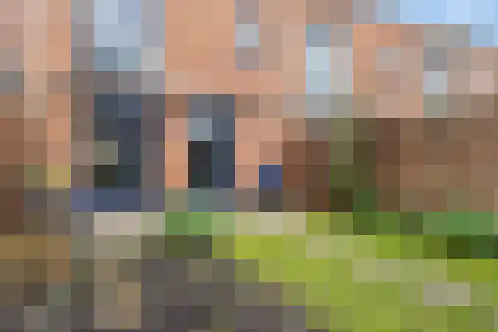 Donsvlinder 55 Utrecht thumbnail 42