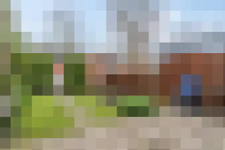 Donsvlinder 55 Utrecht thumbnail 43