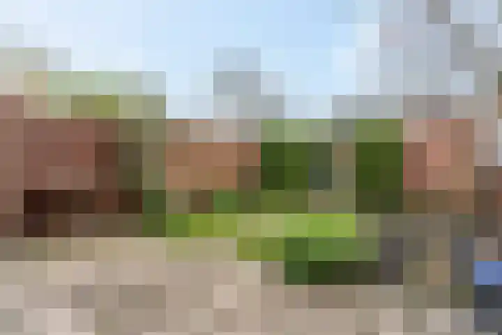 Donsvlinder 55 Utrecht thumbnail 44