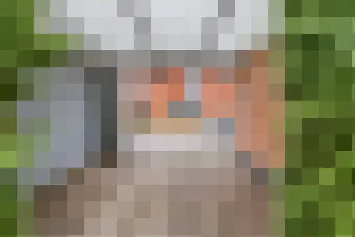 Donsvlinder 55 Utrecht thumbnail 45