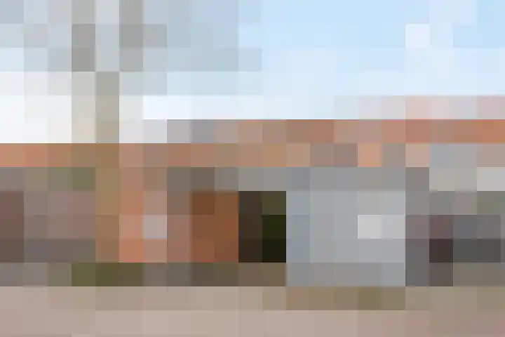 Donsvlinder 55 Utrecht thumbnail 46