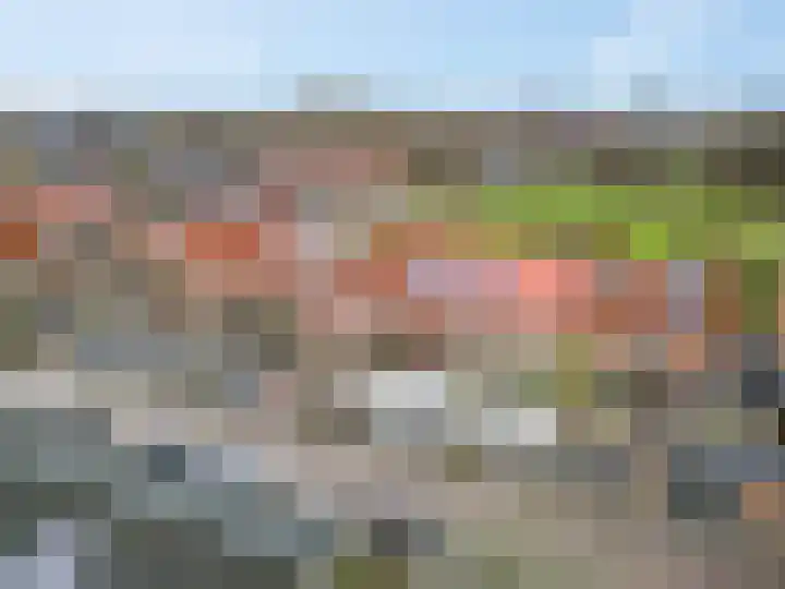 Donsvlinder 55 Utrecht thumbnail 47