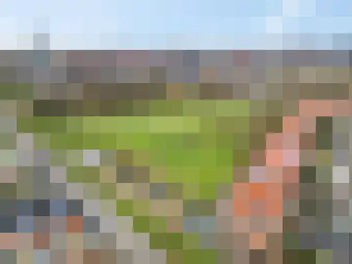 Donsvlinder 55 Utrecht thumbnail 48