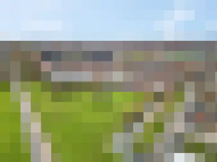 Donsvlinder 55 Utrecht thumbnail 49