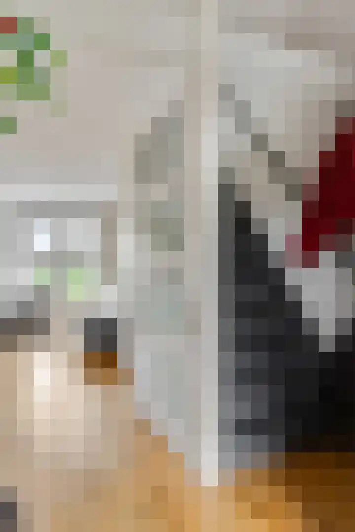 Donsvlinder 55 Utrecht thumbnail 5