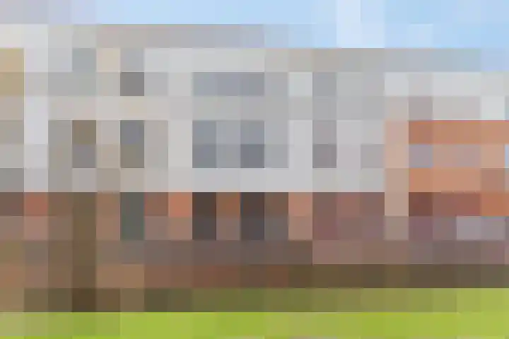 Donsvlinder 55 Utrecht thumbnail 52